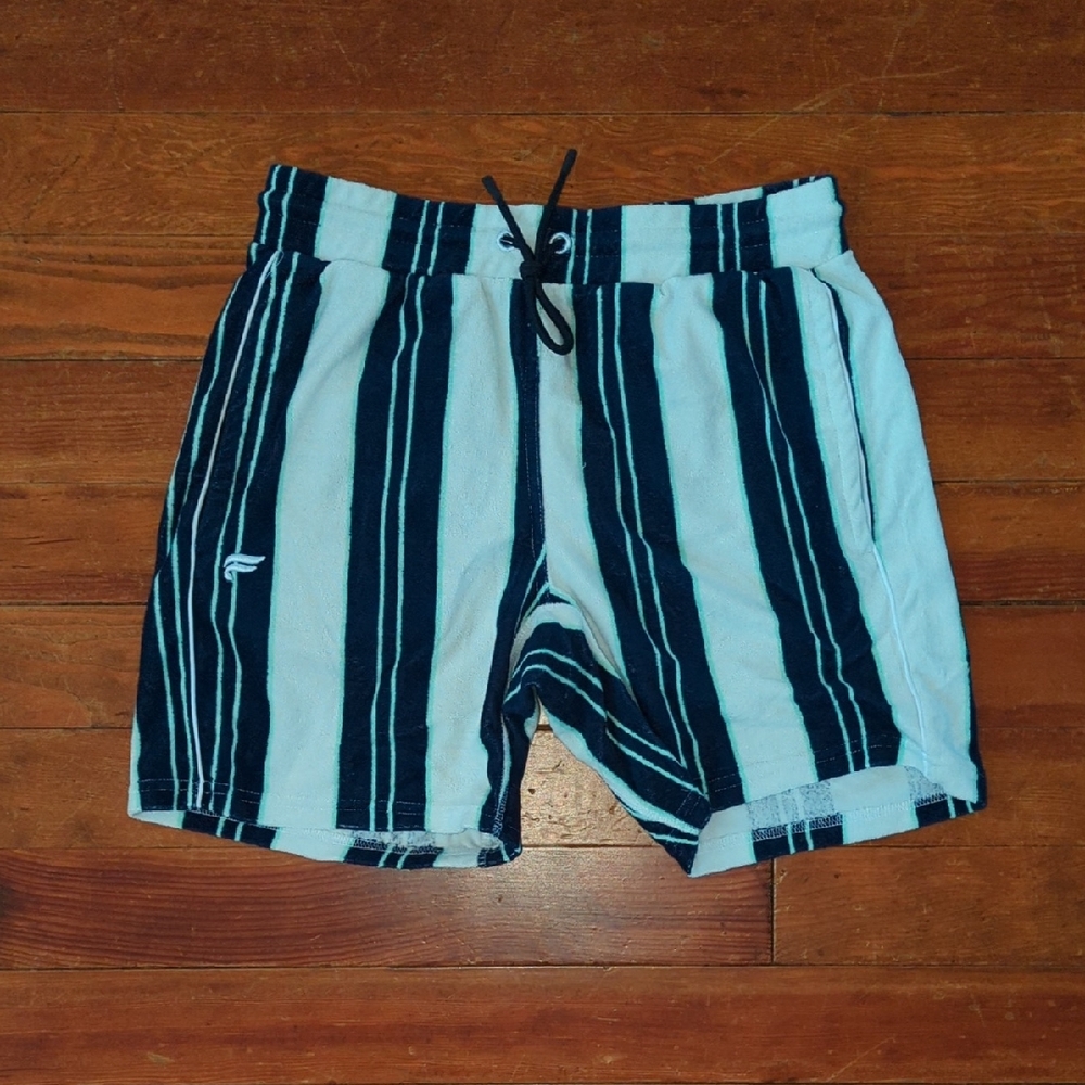 Fabletics Blue and White Striped Men Shorts